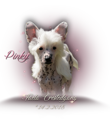 iko-pinky.png